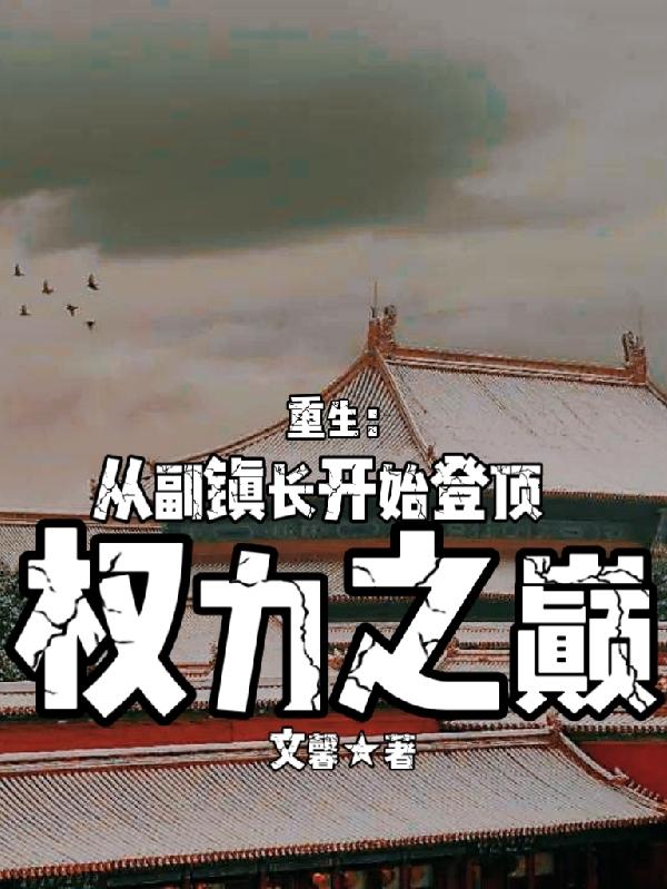 小说从乡镇领导到省领导